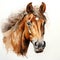 Watercolor Head of a Brown Horse Clipart on White Background AI Generated