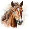 Watercolor Head of a Brown Horse Clipart on White Background AI Generated