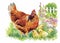 Watercolor Hen and chicks in yard vector illustration