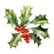 watercolor holly branch with red berries on white