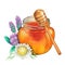 Watercolor honey bottle and the dripper decorated with flowers