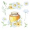 Watercolor honey set, a jar of honey and a bouquet of daisies