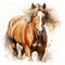 Watercolor horse, Brown horse portrait, horse riding sports