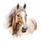 Watercolor horse, Brown horse portrait on a white background, horse riding sports