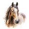 Watercolor horse, Brown horse portrait on a white background, horse riding sports