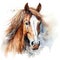 Watercolor horse, Brown horse portrait on a white background, horse riding sports