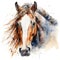 Watercolor horse, Brown horse portrait on a white background, horse riding sports