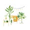 Watercolor house plants in pots composition. Garden trendy greenery home potted tropical tree. Palm tree and decor home.