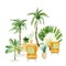 Watercolor house plants in pots composition. Garden trendy greenery home potted tropical tree. Palm tree, summer plants and decor