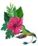 Watercolor humming bird with exotic flowers and leaves