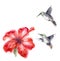 Watercolor Humming Birds and Hibiscus