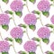 Watercolor Hydrangea seamless pattern. Hand painted pink Hortensia flower with leaves and stem isolated on white