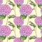 Watercolor Hydrangea seamless pattern. Hand painted pink Hortensia flower with leaves and stem on pastel yellow