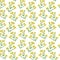 Watercolor hypericum herbs. seamless pattern