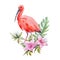 Watercolor ibis bird composition