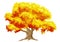 watercolor illuastration of autumn tree on white background