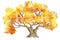 watercolor illuastration of autumn tree on white background