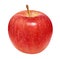Watercolor illustation of a red ripe apple