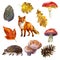Watercolor illustration, autumn forest set. Mushrooms, cones, leaves, fox and hedgehog. Watercolor drawing