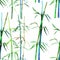 Watercolor illustration bamboo