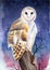 Watercolor illustration of a barn owl with spotted feathers