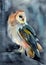 Watercolor illustration of a barn owl with spotted feathers