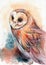 Watercolor illustration of a barn owl with spotted white and brown feathers