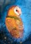 Watercolor illustration of a beautiful barn owl with colorful spotted feathers on a dark blue background