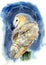 Watercolor illustration of a beautiful white barn owl