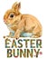 Watercolor illustration of beige rabbit with words easter bunny