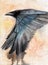 Watercolor illustration of a black raven spreading its wings