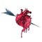 Watercolor illustration with bleeding human heart pierced by an arrow