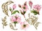 Watercolor illustration Botanical leaves collection cherry blossom sakura oriental gols and pink foliage Set of wild and garden
