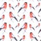 Watercolor illustration of a bullfinch bird sitting on a twig isolated on white background.Seamless pattern