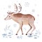 Watercolor illustration. Childish illustration of cute north pole animals.