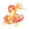 Watercolor illustration with chines flat peaches levitation with splashing juice isolated on white. Fruits and drops