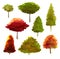 Watercolor illustration of collection colorful trees. Autumn trees isolated set.