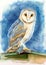 Watercolor illustration of a colorful spotted barn owl