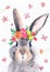 Watercolor illustration of a cute fluffy grey rabbit with pink ears