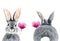 Watercolor illustration of a cute fluffy grey rabbit with pink ears