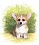 Watercolor Illustration of cute puppy Welsh Corgi Pembroke