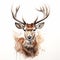 Watercolor Illustration Of Deer In Spray Painted Realism Style