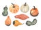 Watercolor illustration of different varieties of pumpkins.