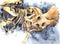 Watercolor illustration dinosaur bones from museum