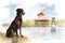 watercolor illustration of dog and cat lifeguards keeping watch for swimmers in distress