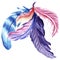 Watercolor illustration of five colorful feathers blue, pink and purple colored.