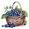 Watercolor Illustration Of Fresh Blueberries In Wicker Basket