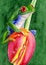Watercolor illustration of funny colorful frog sitting on a red tulip