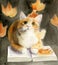 Watercolor illustration of a ginger fluffy cat lying on an open book