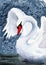 Watercolor illustration of a graceful white swan flapping its wings